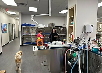 Carrollton Veterinary Clinics Josey Ranch Pet Hospital