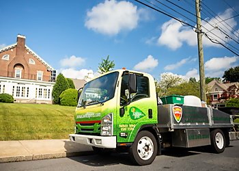 Joshua Tree Experts Allentown Tree Services image 1