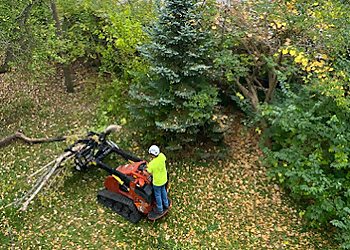 Ann Arbor Tree Services J's Tree Trimming and Removal