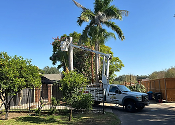 Juan Palmas Tree Service - McAllen, TX Tree Services - Team Working Image