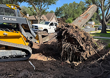 Juan Palmas Tree Service - McAllen, TX Tree Services - Service Vehicle Image