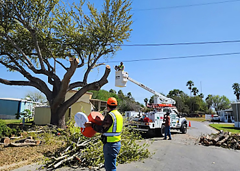 McAllen Tree Services Juan Palmas Tree Service & Stump Grinding