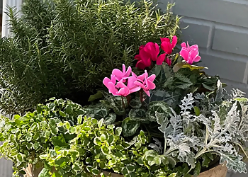 Mobile Landscaping Companies JubileeScape