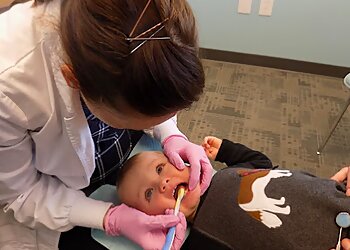 St Paul Kids Dentists Julie Haman, DDS - ST. PAUL PEDIATRIC DENTISTRY