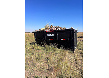 McKinney Junk Removal Junk Queen