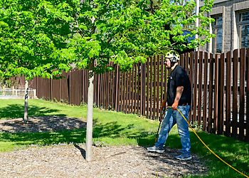 Naperville Tree Services Just For Trees