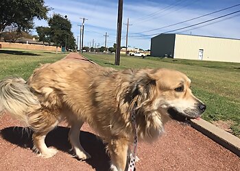 Lubbock Dog Walkers K9CareLBK