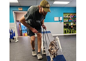 Buffalo Dog Training K9 Connection