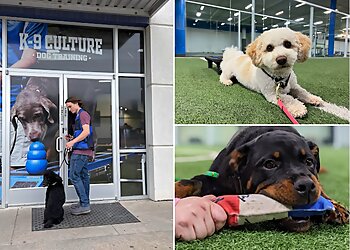 Dallas Dog Training K-9 Culture Dog Training