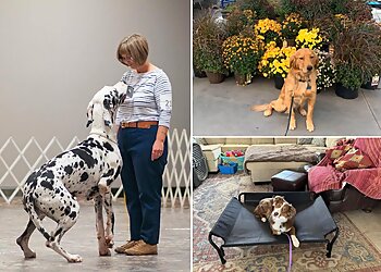 El Paso Dog Training K9 Fun Works