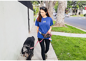 K-9 KATS PET SITTING Los Angeles Dog Walkers