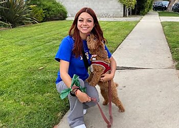 Los Angeles Dog Walkers K-9 Kats Pet Sitting