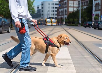 Wichita Dog Training K-9 Kudos