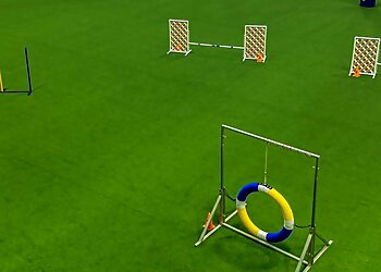 Broken Arrow Dog Training K9 Manners & More