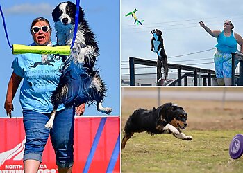 Broken Arrow Dog Training K9 Manners & More