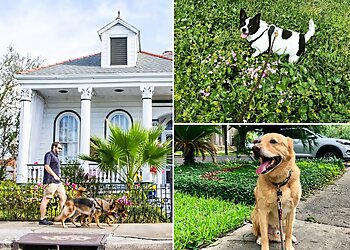New Orleans Dog Walkers K9 Second Line