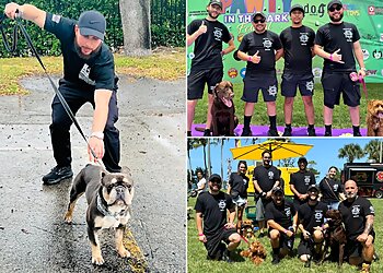 Miami Dog Training K-9 Specialist