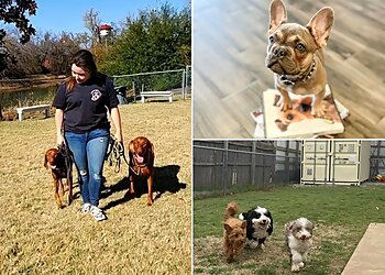 Oklahoma City Dog Training K9 University Dog Training OKC