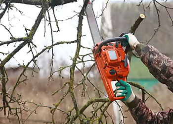 Laredo Tree Services KB Powerwashing and Landscaping