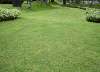 KD Landscaping Albany NY - Albany, NY Landscaping Companies - Outdoor Work Image