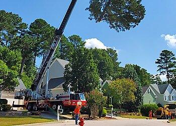 Buffalo Tree Services KD Tree Service