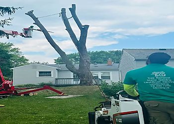 KD Tree Service - Syracuse, NY Tree Services - Team Working Image
