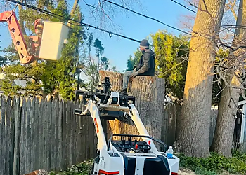 KD Tree Service KD Tree Service - Syracuse, NY Tree Services - Service Image