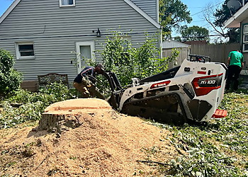 Syracuse Tree Services KD Tree Service Syracuse