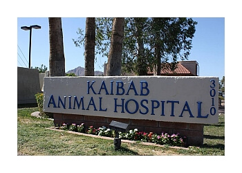 KaibabAnimalHospital Scottsdale AZ