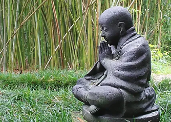 Gainesville Places To See Kanapaha Botanical Gardens