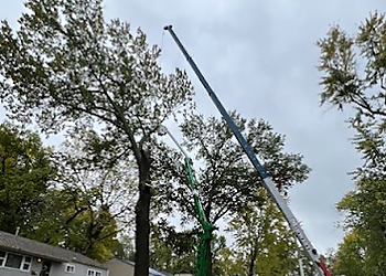 Kansas City Tree Services Kansas City Tree Care LLC