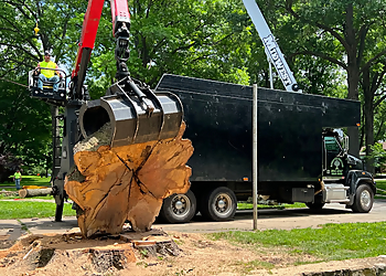 Kansas City Tree Services Kansas City Tree Care LLC