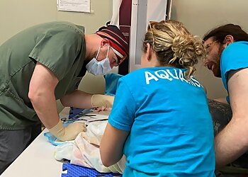 Kansas City Veterinary Clinics Kansas City Veterinary Care