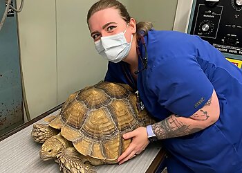 Kansas City Veterinary Clinics Kansas City Veterinary Care