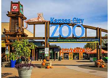 Kansas City Zoo Kansas City Places To See