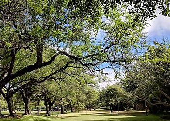 Honolulu Public Parks Kapiolani Regional Park