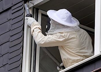 Paterson Pest Control Companies Kapture Pest Control