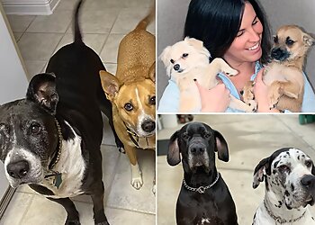 Bakersfield Dog Walkers Kara Cares