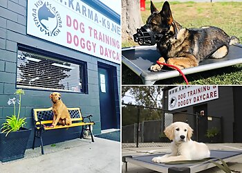 Jacksonville Dog Training Karma K9