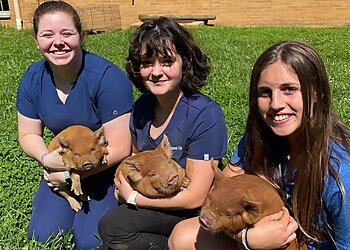 Knoxville Veterinary Clinics Karns Animal Clinic