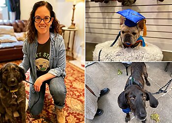 Yonkers Dog Training Kate's Canines, LLC