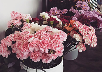 Everett Florists Kathryns Flowers Plus