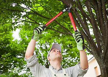 Santa Clarita Landscaping Companies Kathy's Landscaping Services