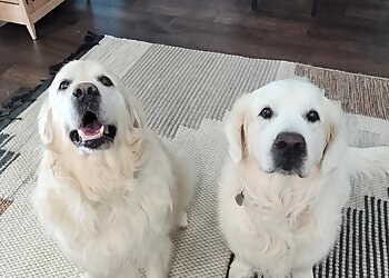 Oklahoma City Dog Walkers Katie & Company Pet Sitting