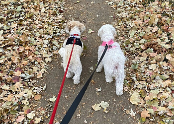 Kansas City Dog Walkers Katie's Kennel