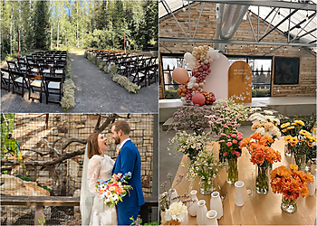 West Valley City Wedding Planners Kaushay & Co. Events