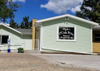 Kayla's Posh Pets Grooming & Boutique