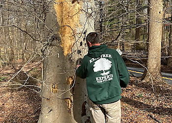 Baltimore Tree Services Keil Tree Experts Inc.