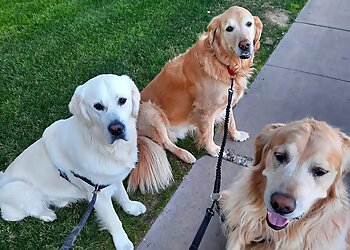 Phoenix Dog Walkers Keke and Fetch Dog Walking and Cat Boarding