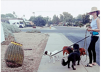 Keke and Fetch Dog Walking and Cat Boarding  Phoenix Dog Walkers